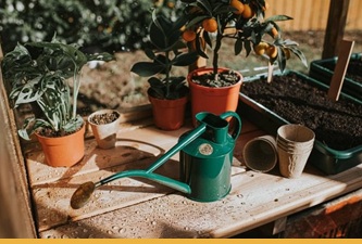 Vandkander hos Den Engelske Gartner Shop